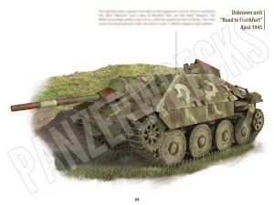 In-Focus-1-Jagdpanzer-38_69
